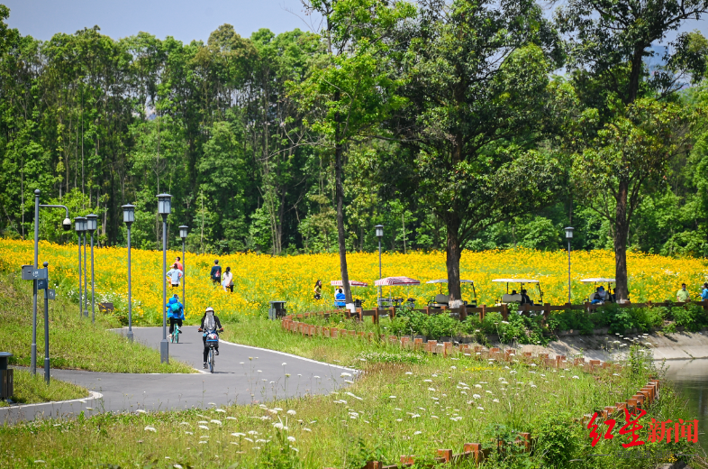 成都环城生态区：一张蓝图绘到底的城市“生态项链”_fororder_1