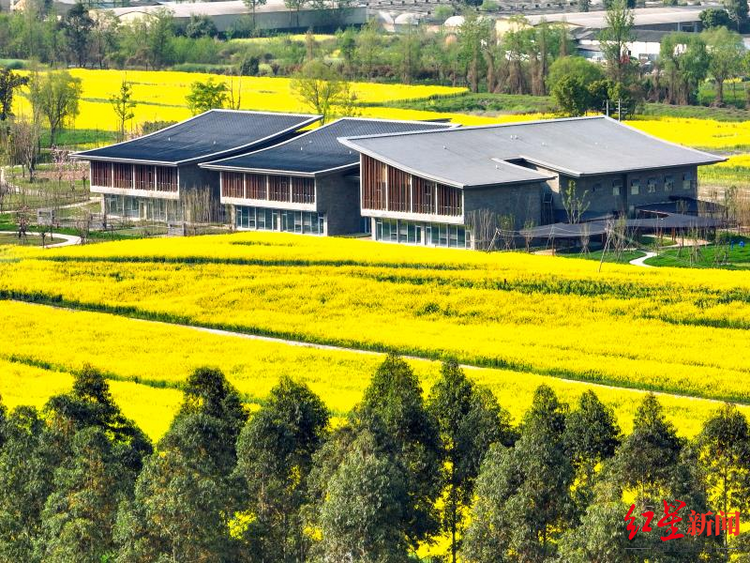 成都环城生态区：一张蓝图绘到底的城市“生态项链”_fororder_10