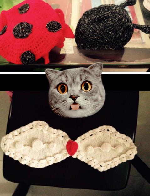 “眉庄小主”斓曦产检分享喜讯:10月预产期