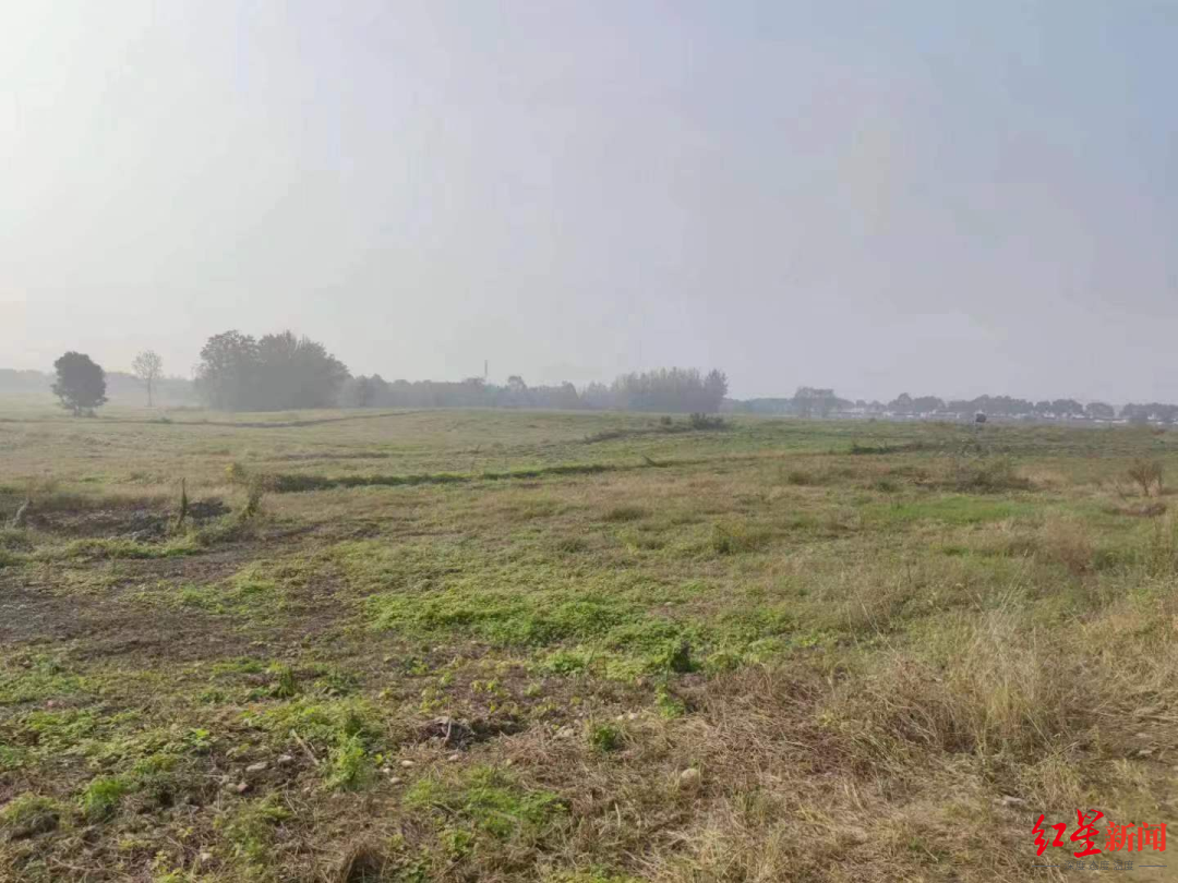 成都环城生态区：一张蓝图绘到底的城市“生态项链”_fororder_9