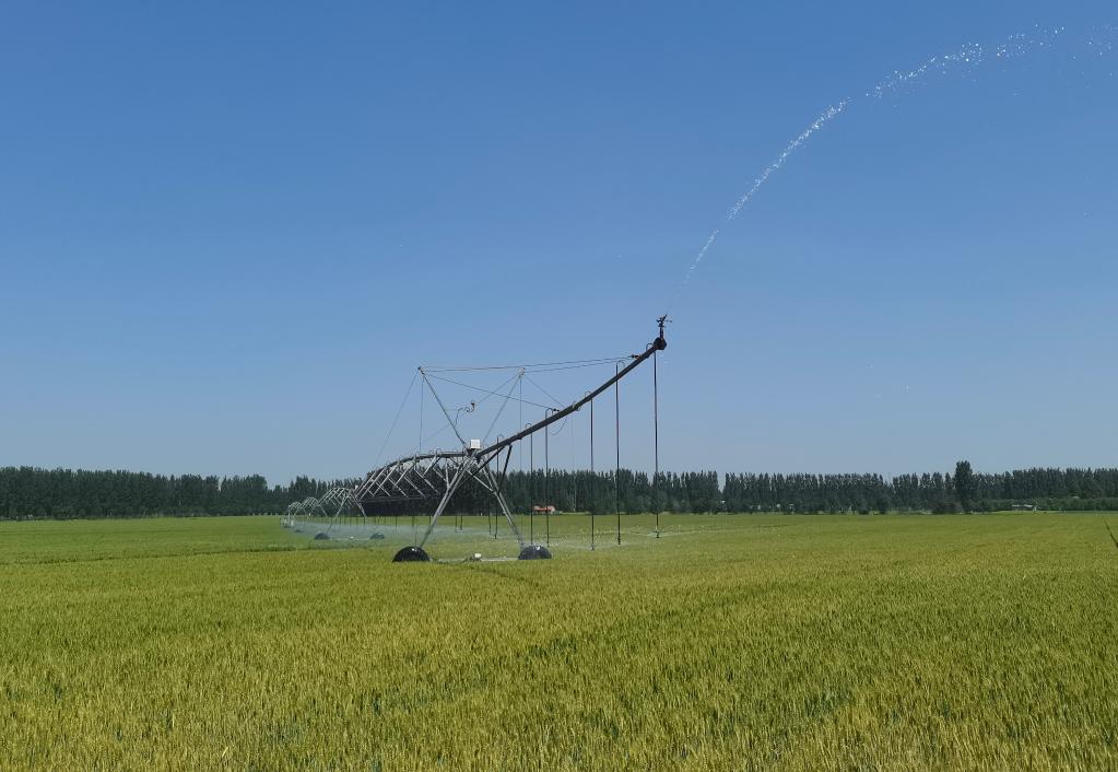 山东安丘：“四社”齐耕致富田