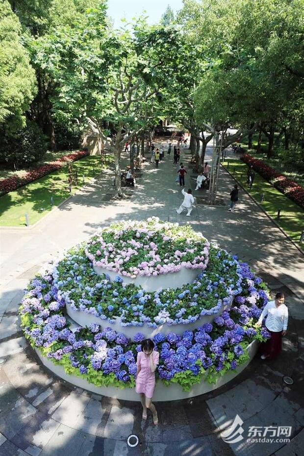 【文化旅遊-滾動圖】上海徐家匯公園“繡球蛋糕”出圈