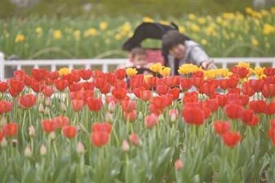 圖片默認標題 圖片默認標題_fororder_res03_attpic_brief