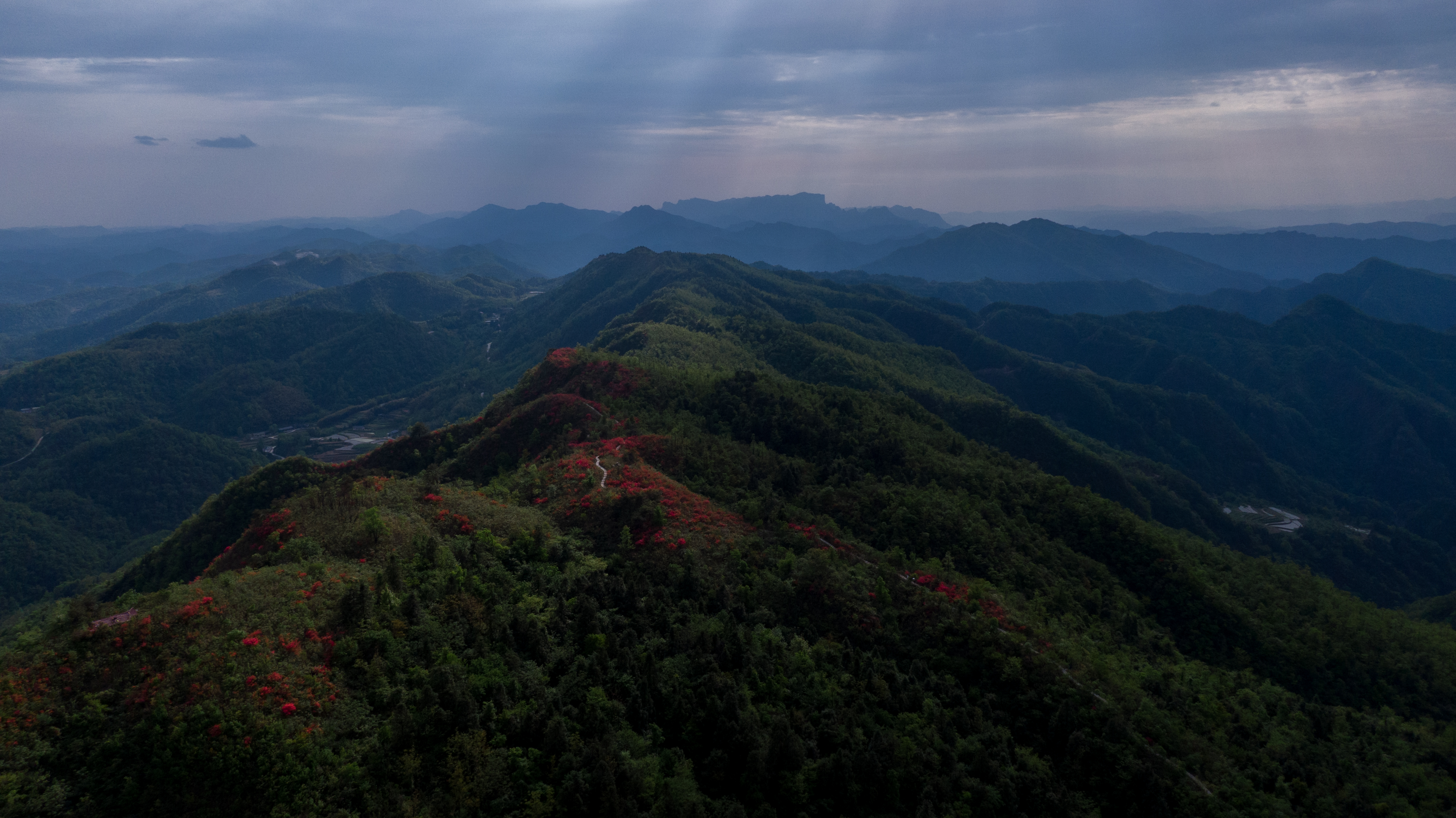 张家界有座杜鹃山_fororder_DJI_0902.JPG