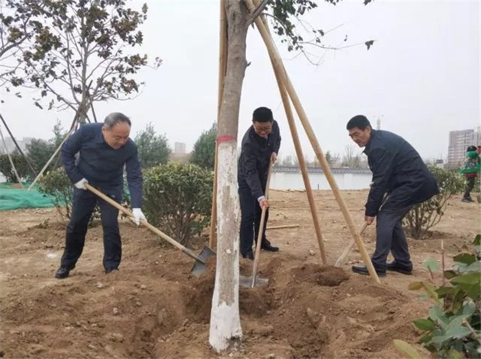 【三秦大地 西安】花满浐灞绿满城 绿化美化不止3·12 更要365