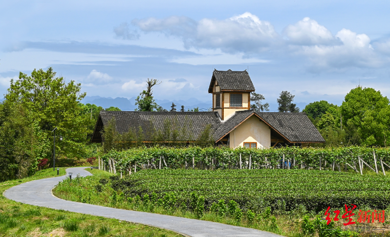 成都环城生态区：一张蓝图绘到底的城市“生态项链”_fororder_15