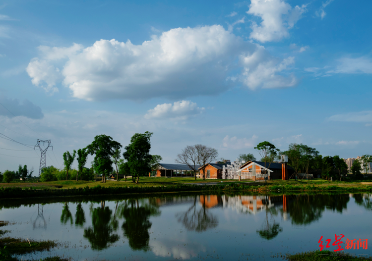 成都环城生态区：一张蓝图绘到底的城市“生态项链”_fororder_16