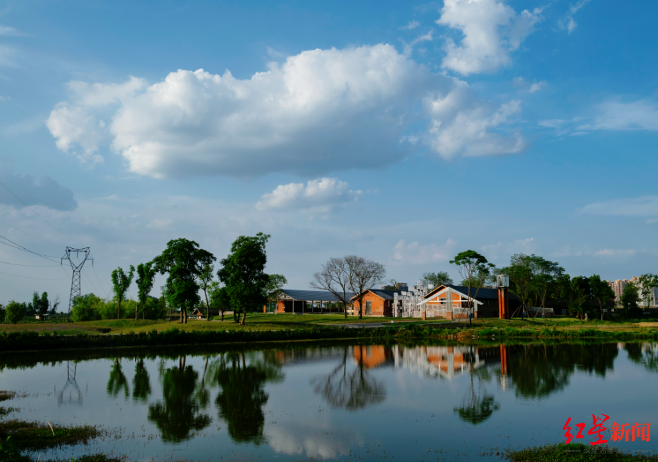 成都环城生态区：一张蓝图绘到底的城市“生态项链”_fororder_16