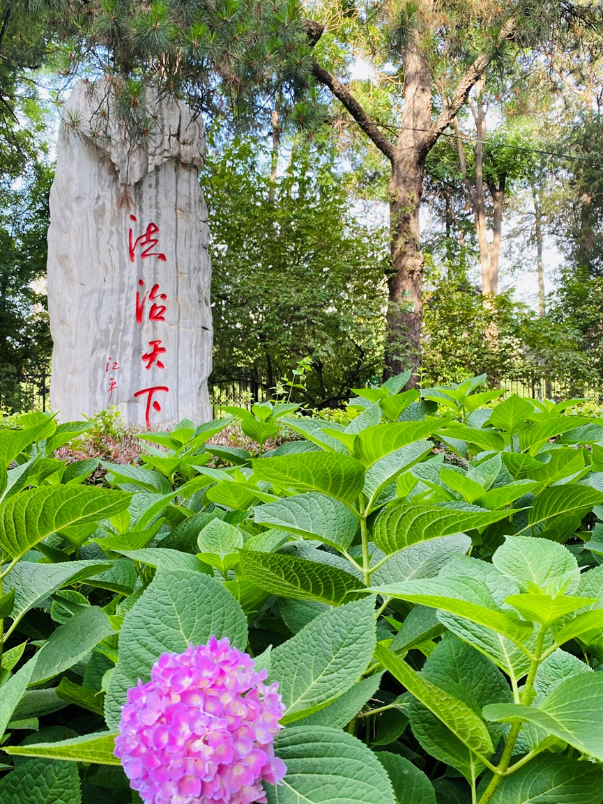 2023高招进行时丨中国政法大学：法学转入比例增加一倍，多专业实行本硕贯通培养_fororder_5-4