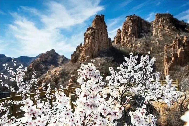 （文旅专题）朝阳：花开满城 有风相迎_fororder_文旅朝阳4