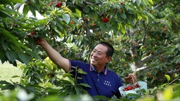图片默认标题