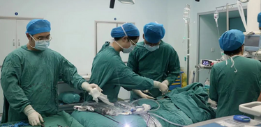 The Pediatric Surgery Department of the Second Affiliated Hospital of Xi'an Jiaotong University Establishes a Theoretical System for Diagnosis and Treatment of Congenital Pulmonary Airway Malformation_fororder_rBABCmLL6E-AJQs3AAAAAAAAAAA798.1080x720.880x587
