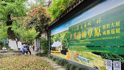 “川”越千里的遇見 “興安盟·五角楓”杯世界疏林草原攝影大展在成都巡展