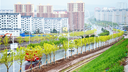 延吉市完成“绿美延吉”行动春季树木栽植工作