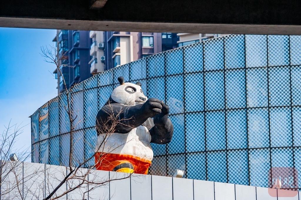 （转载）边走边拍⑥ 来成都街头与“大熊猫”偶遇
