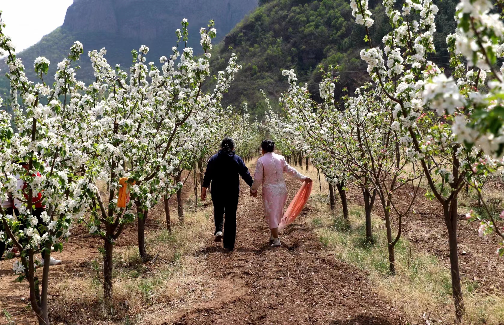 图片默认标题_fororder_游客徜徉产业园内  陈树斌摄