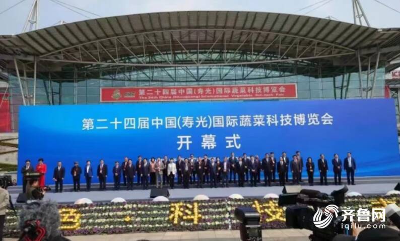 菜博会本土番茄引关注 在全国二十多个省份迅速落地