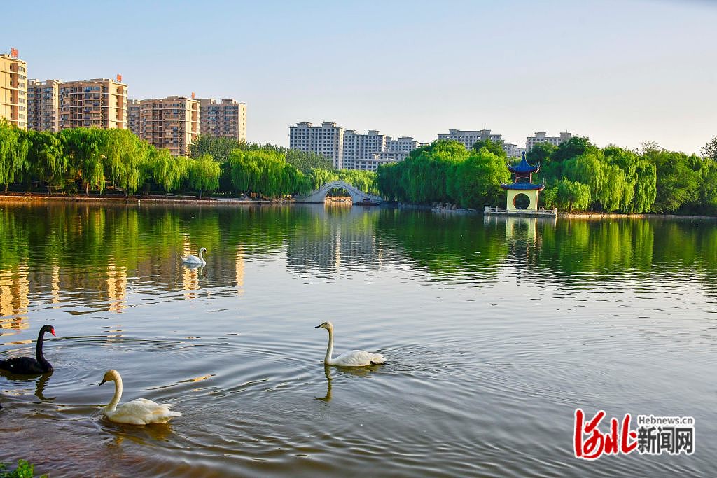 图片默认标题_fororder_hebnewsimg (5)