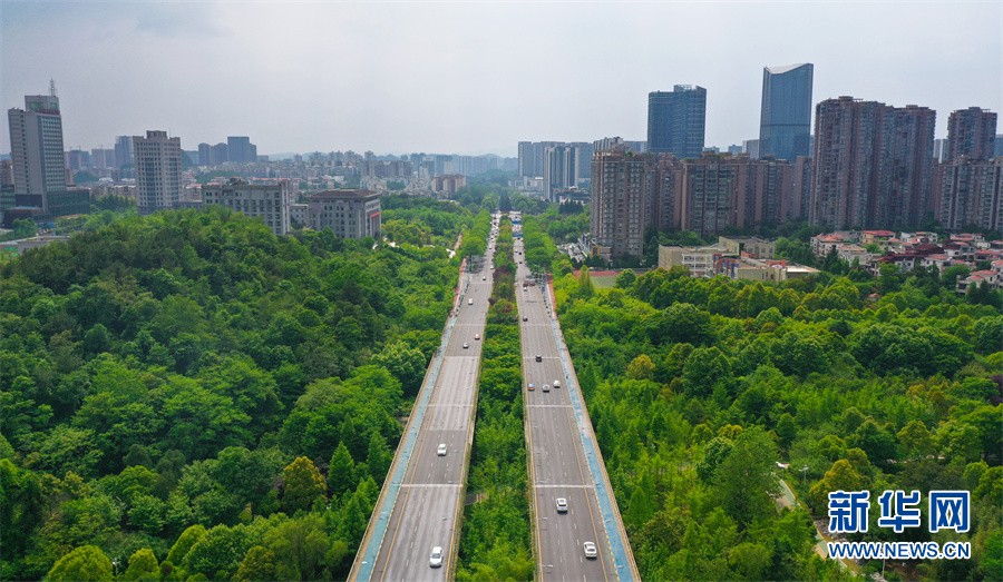 （中首）“快”看贵马赛道