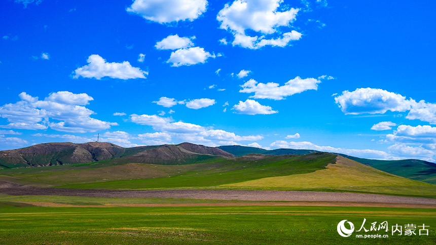 內蒙古呼倫貝爾：草原返青景色美
