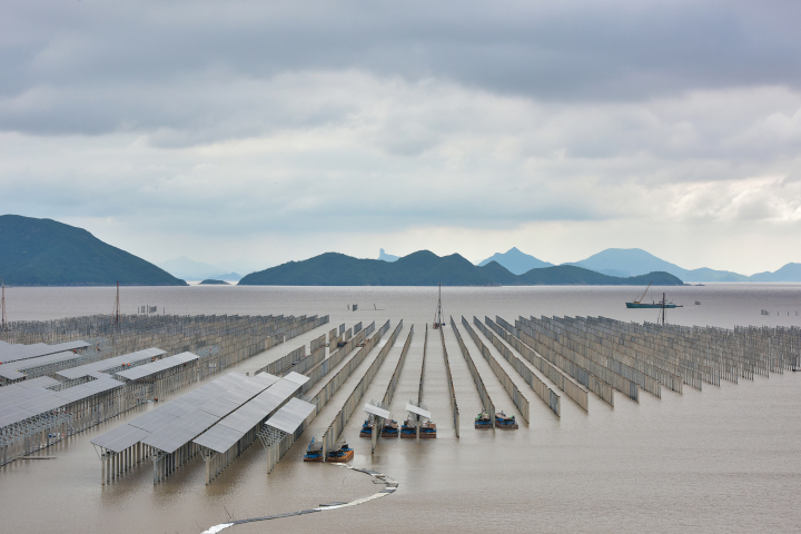 三门滩涂光伏电站建设酣