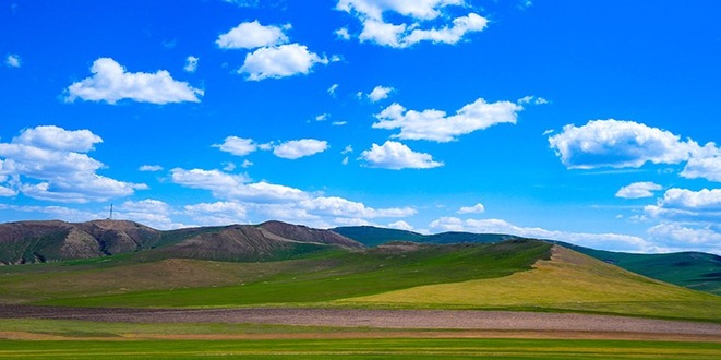 內蒙古呼倫貝爾：草原返青景色美