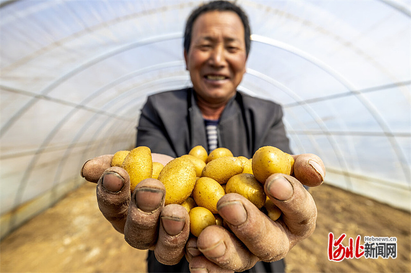 图片默认标题_fororder_hebnewsimg (3)