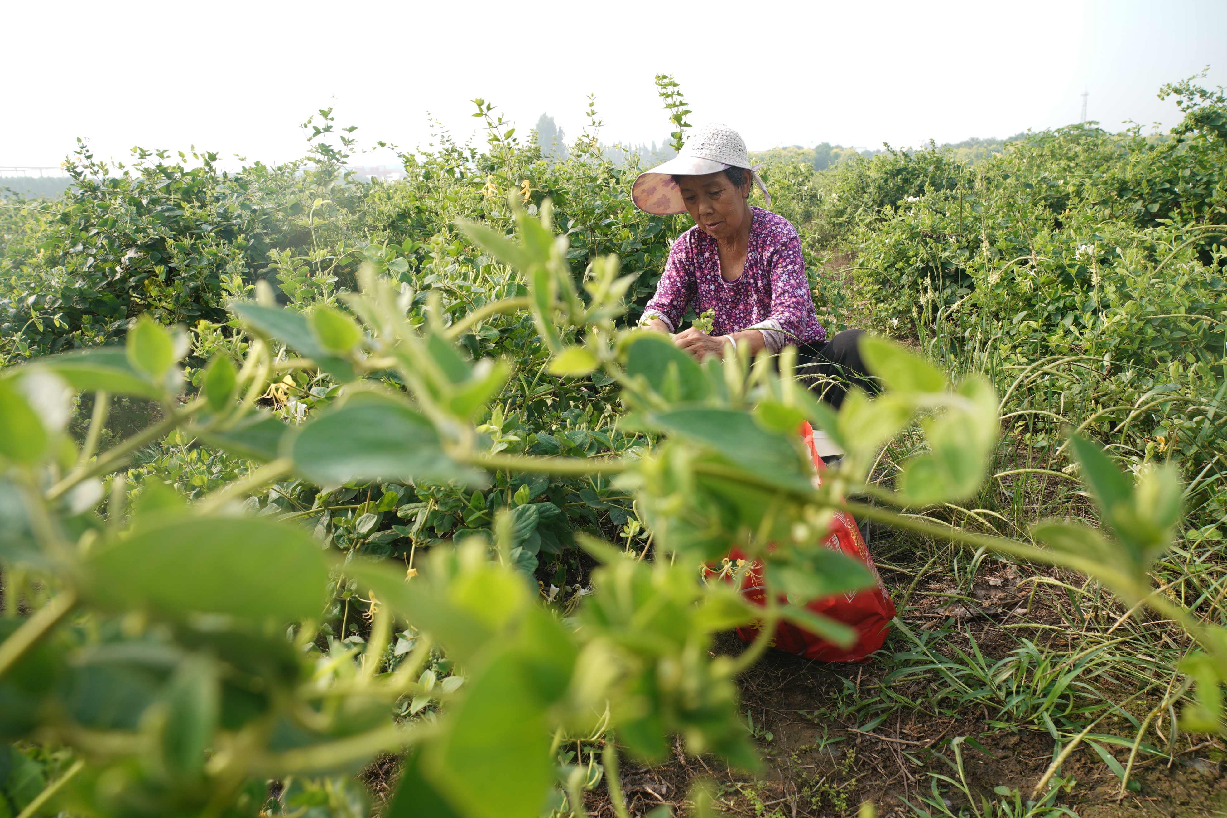 图片默认标题_fororder_1 (1).JPG