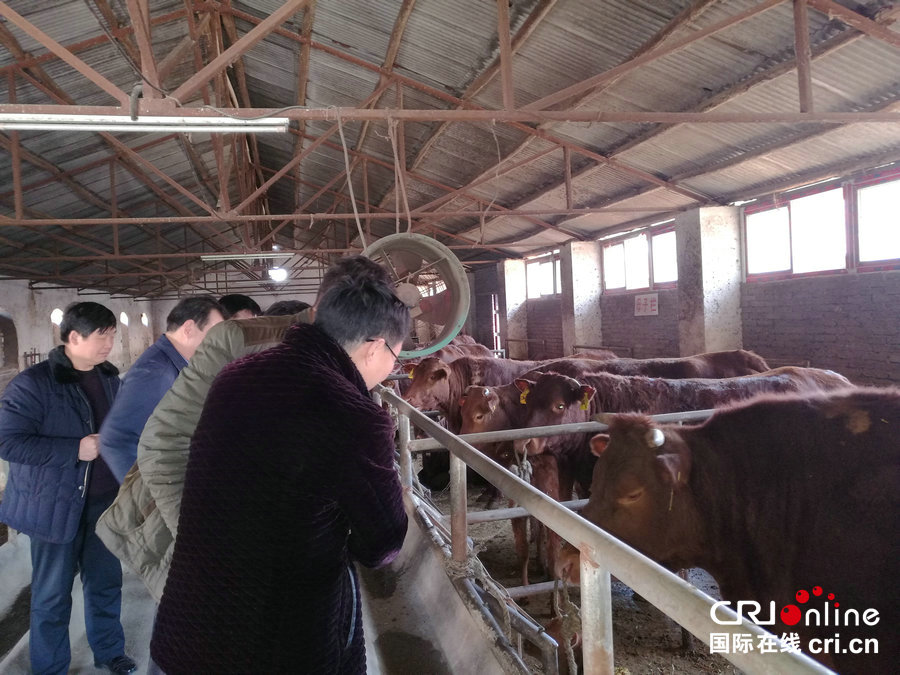 河南郏县：加大招商引资力度 发展壮大红牛产业