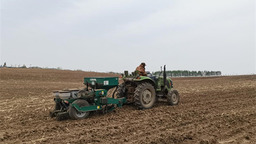 延吉：惠农政策护航 农户干劲十足玉米播种进入尾声