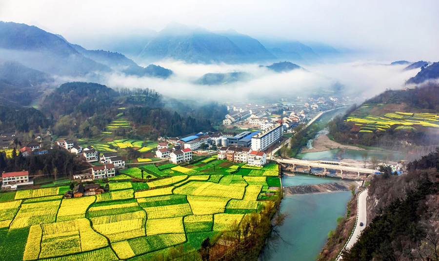 【专题 三国圣地 美丽勉县 CRI多语报道 日语】三国の聖地で菜の花に魅了＝陝西省勉県