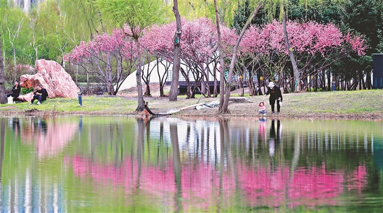 城市公園水韻悠悠