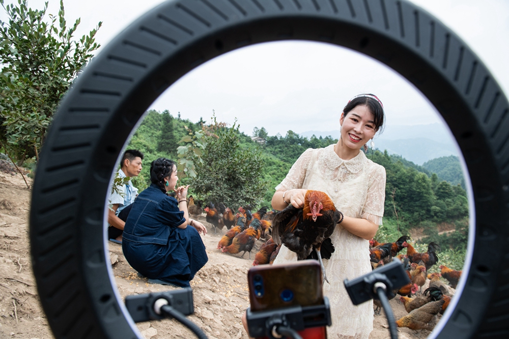 贵州天柱：达人“三进” 网聚正能量_fororder_天柱县网络达人在帮助村民直播卖土鸡。