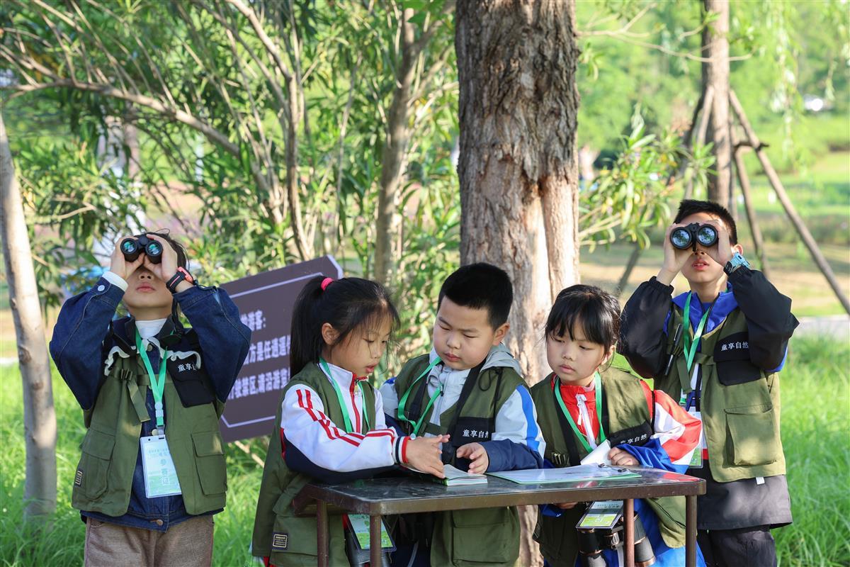 湖北襄阳：湿地观鸟 亲近自然