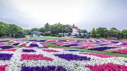 【文化旅游】上海辰山植物园标志性大花坛焕新升级