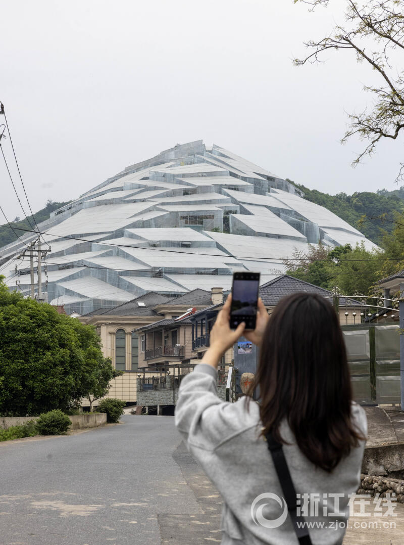 杭州楊梅大棚酷炫外形意外走紅_fororder_W020230511289231098776