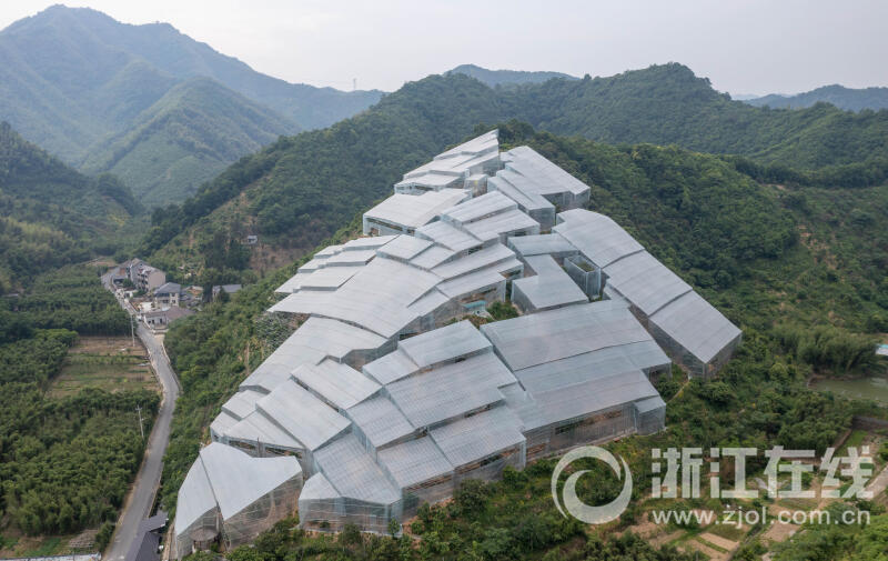 杭州楊梅大棚酷炫外形意外走紅_fororder_W020230511289231317811