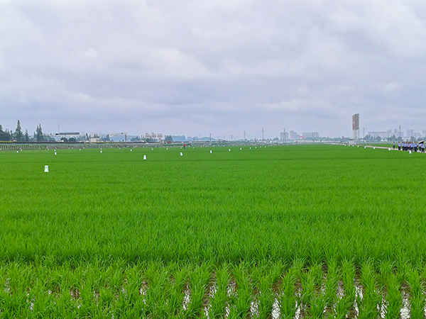 （张）世界你好，我是眉山｜走进永丰村_fororder_永丰村-摄影-谭寿康（5）