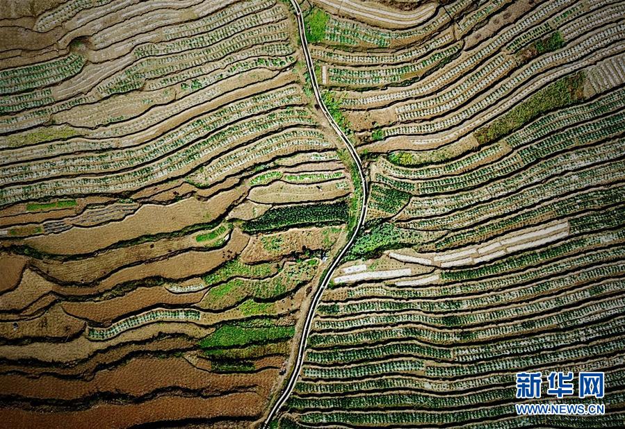 廣西：飛閱邊關山田春景