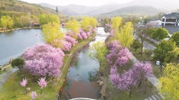 地处苏皖边界 兼具皖南灵秀与江南婉约——江宁横溪 为“远方”注入诗情画意