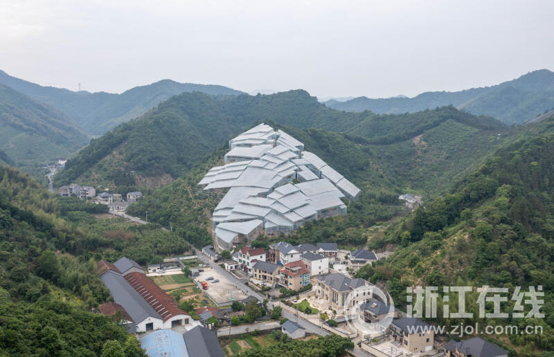 杭州楊梅大棚酷炫外形意外走紅_fororder_W020230511289230674349