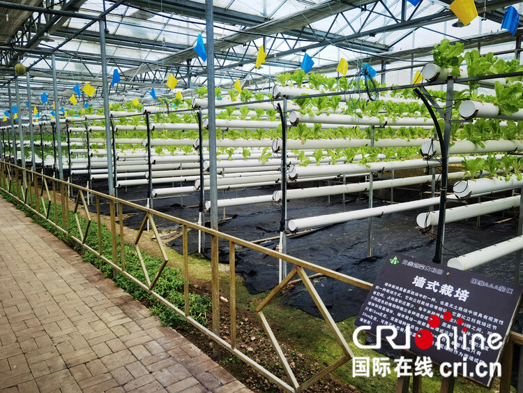 重庆万州区甘宁镇积极发挥资源优势 大力发展现代农业产业体系_fororder_04