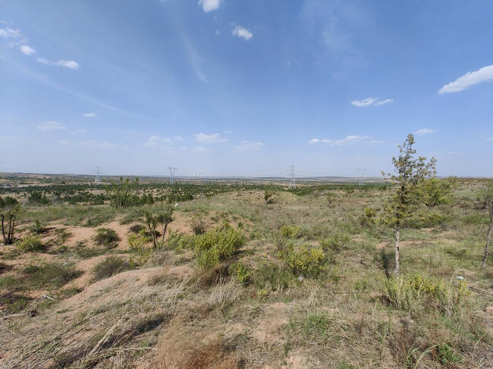 （转发）靖边县黄蒿界镇五合村：培育生态循环产业，激活乡村振兴引擎