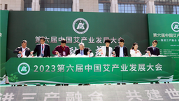 第六届中国艾产业发展大会在河南南阳举行