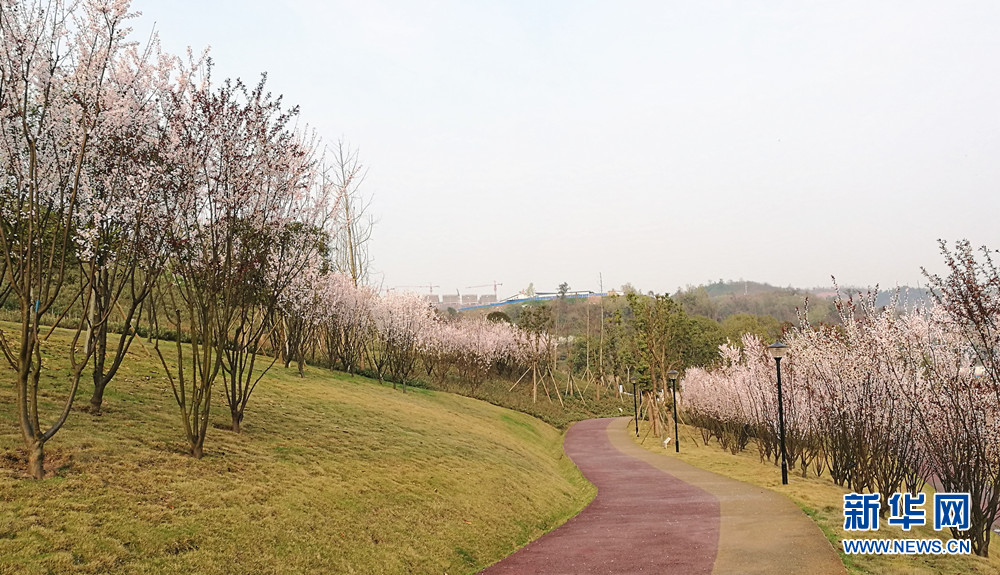 【聚焦重慶】重慶北碚兩年內將新（改）建14個公園遊園