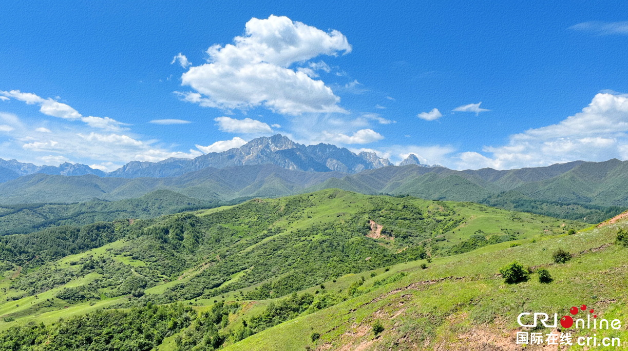 （未改完）甘肅臨夏：巍巍太子山 山川如畫 生靈棲息_fororder_4.PNG