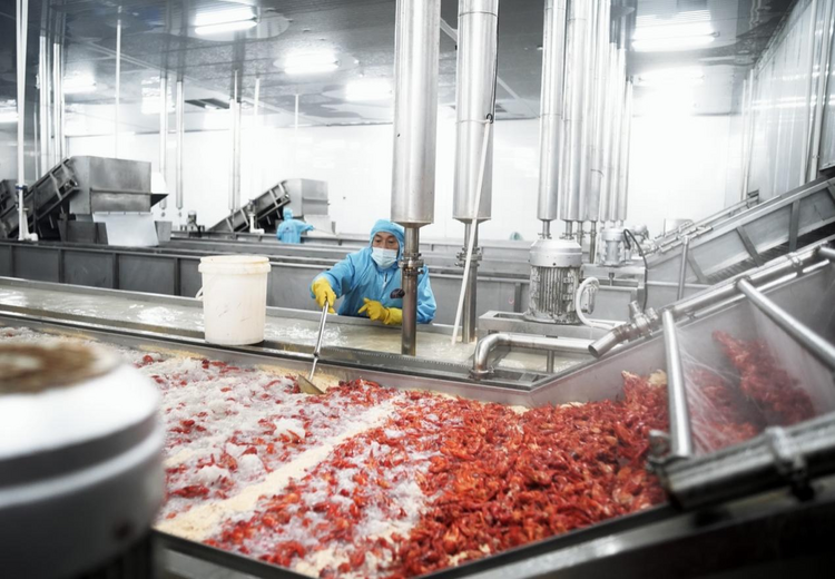 拼多多“农云行动”走进湖北潜江 网红小龙虾“云拼”加速度_fororder_图片2