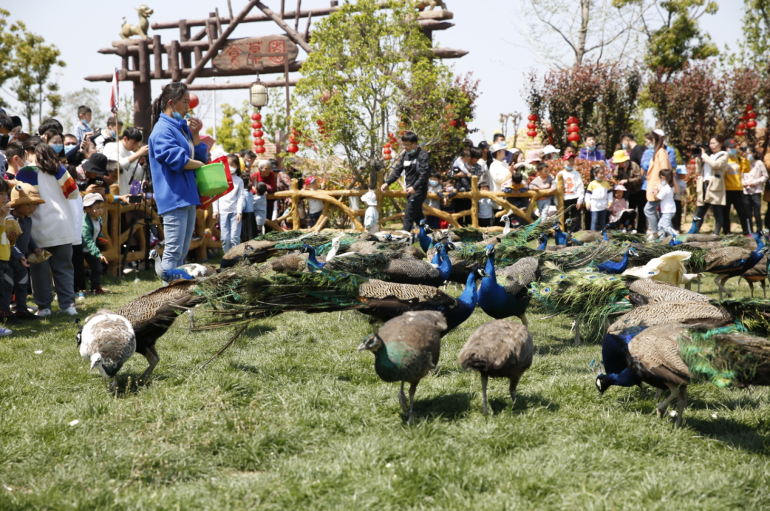 阜阳文旅开启“福利暑期档”优惠活动