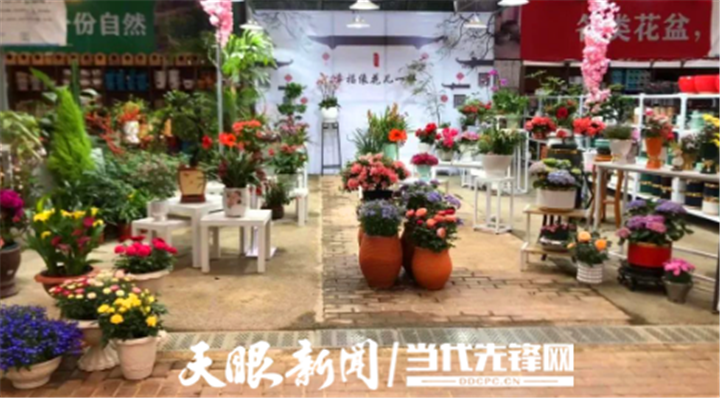 贵州遵义：初夏时节 花卉经济绽放勃勃生机