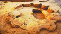 穿越4000年 走进“粮仓城”